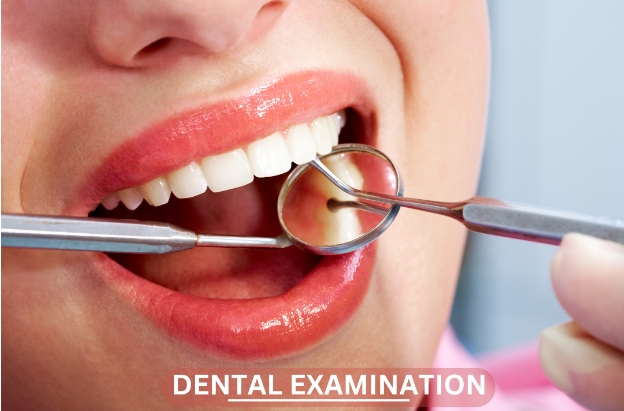 What to Expect During Your Dental Examination